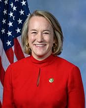 Official portrait of Nikki Budzinski