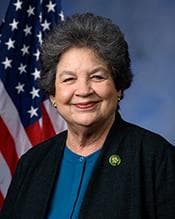 Official portrait of Lois Frankel